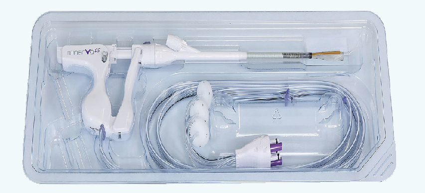 Endometrial ablation system with spring handle